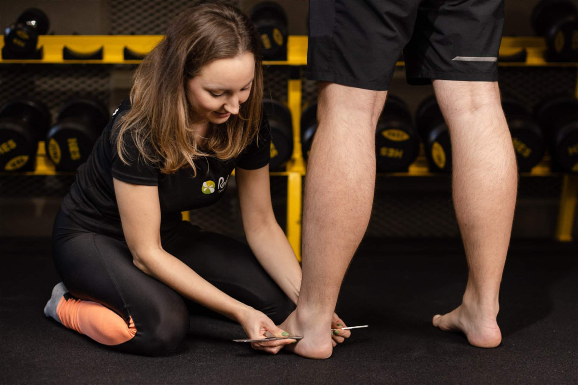 Pinopresura - Rehafit