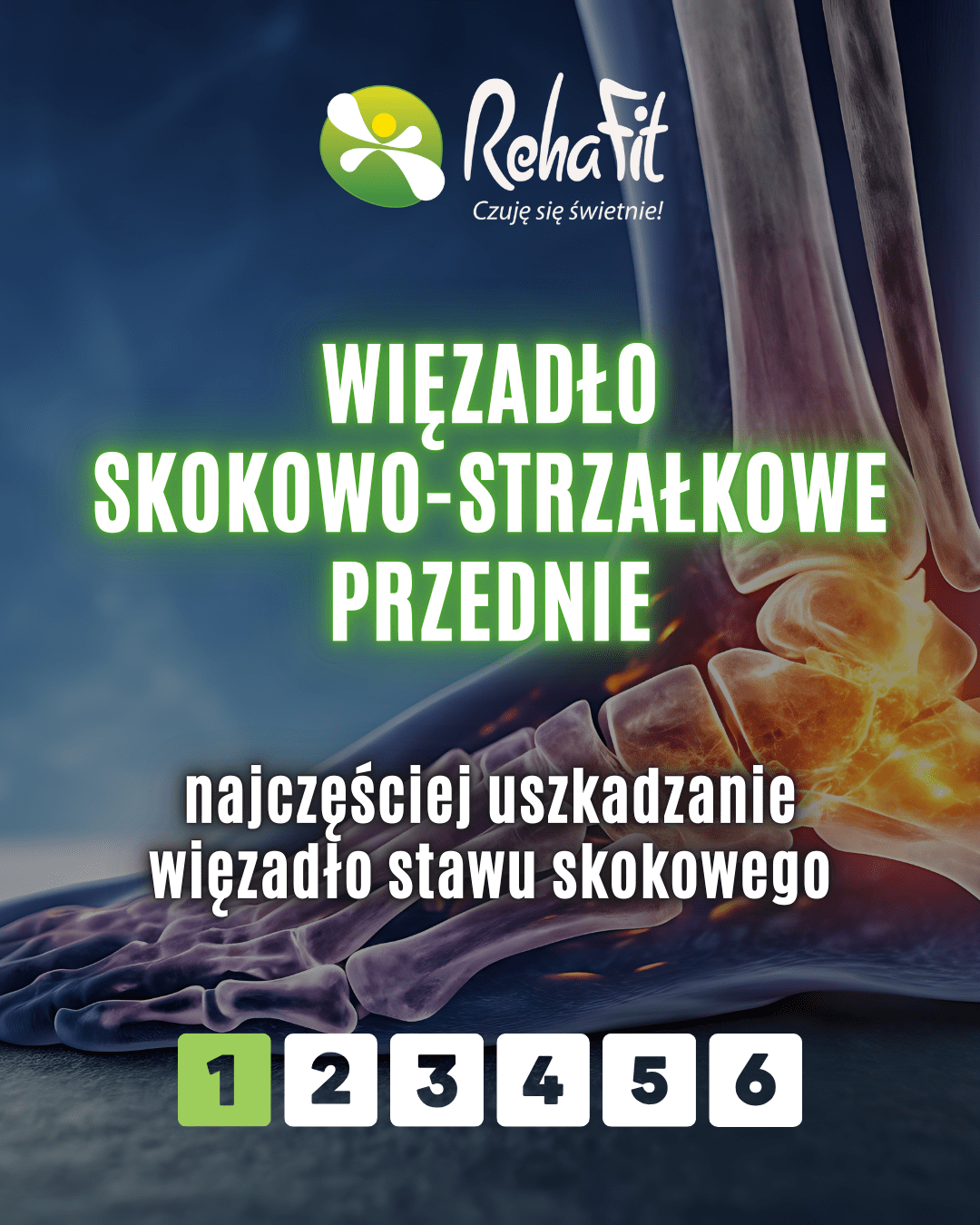 więzadło ATFL